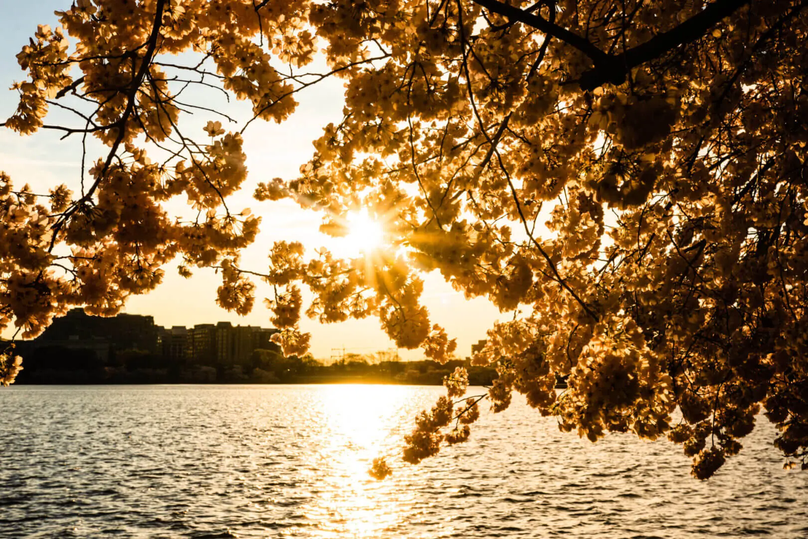 AdobeStock_334581542-scaled (1) AdobeStock_334581542-scaled (1)